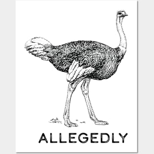 Allegedly Posters and Art